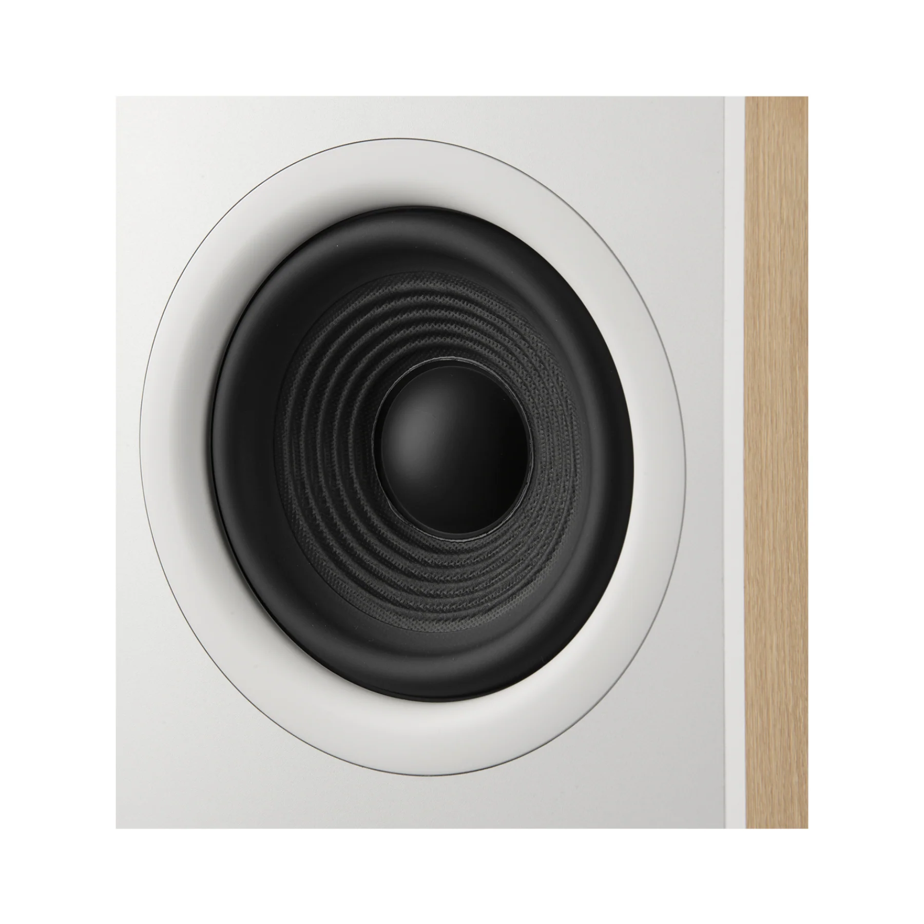 JBL Stage 260F - 2.5-Way Dual 6.5-inch Floorstanding Loudspeaker (Latte) - Clearance / Open Box - Image 6