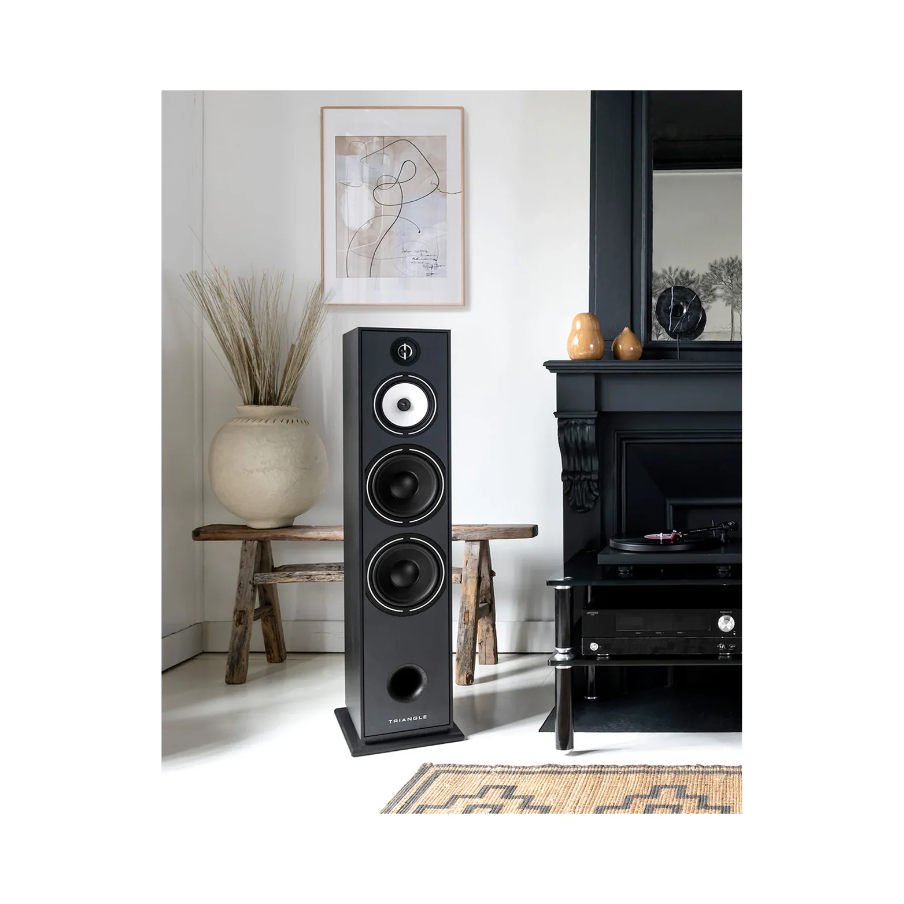 Triangle Borea BR10 Floorstanding Speaker – Best Tower Speakers for Audiophiles (Each) - Clearance / Open Box - Image 12